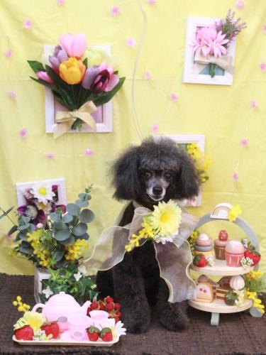 20230302ラムくん